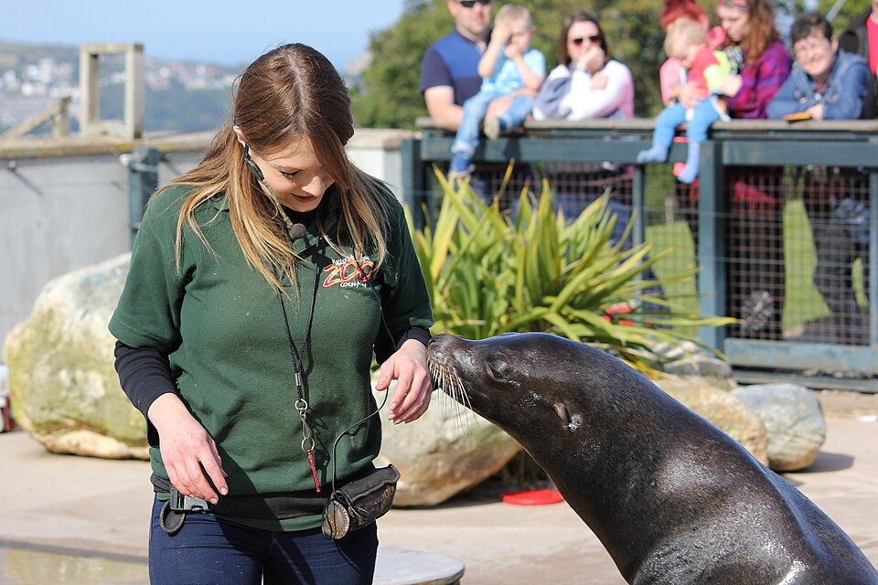 A zookeeper with a sea lion