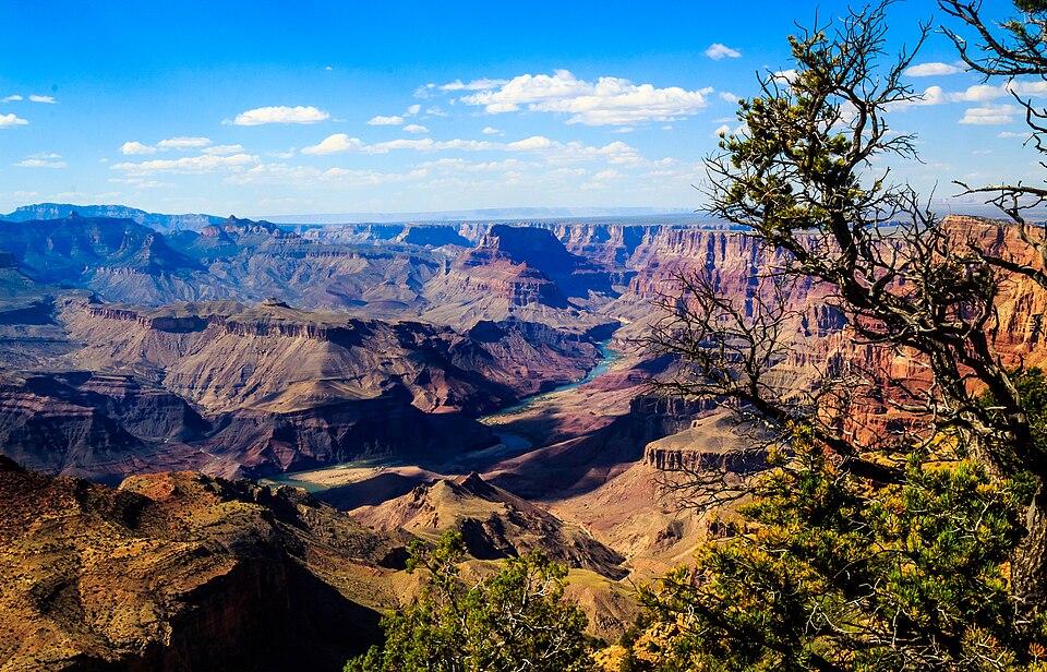 The Grand Canyon under a blue sky