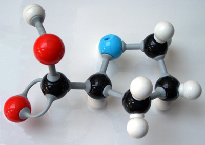 A ball-and-stick model of a molecule